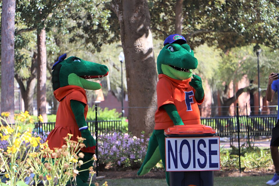 Albert & Alberta photographed at Florida Gators · Gainesville