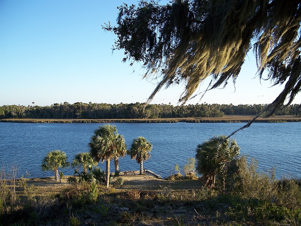Palms and Spanish moss beside the Crystal River in Florida