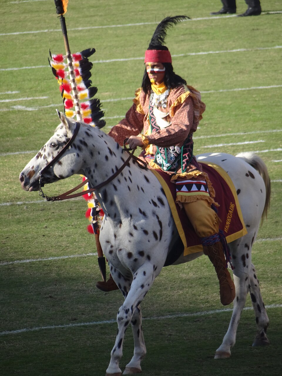 Chief Osceola & Renegade photographed at Florida State · Tallahassee