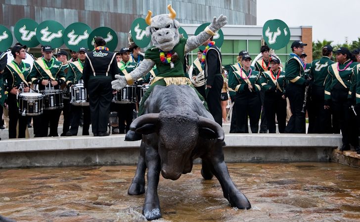 Rocky D. Bull photographed at USF Bulls · Tampa
