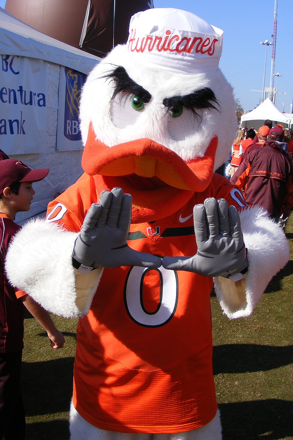 Sebastian The Ibis photographed at Miami Hurricanes · The U