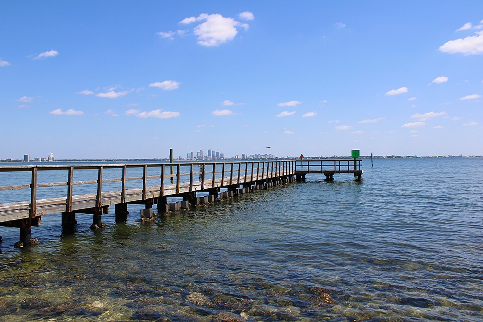 Tampa skyline across the water from Ballast Point Park